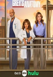 2025年美国电视剧《实习医生格蕾 第二十二季》连载至12