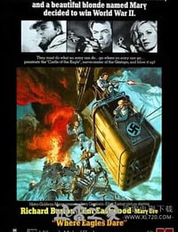 血染雪山堡 Where Eagles Dare (1968)