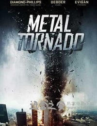 金属风暴 Metal Tornado (2011)