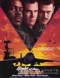 捍卫入侵者 Flight of the Intruder (1991)