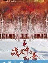 战火中的芭蕾 (2015)