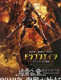 龙之纪元：追索者的黎明 Dragon Age: Dawn of the Seeker (2012)