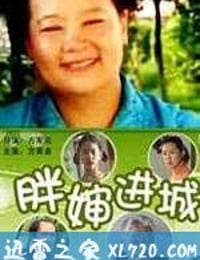 胖婶进城 (2006)