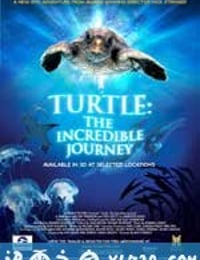 海龟奇妙之旅 Turtle: The Incredible Journey (2009)