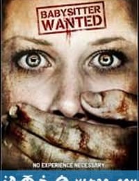 诚聘保姆 Babysitter Wanted (2008)