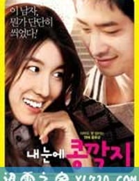 情人眼里出西施 내 눈에 콩깍지 (2009)