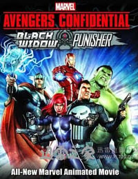 机密复仇者：黑寡妇与惩罚者 Marvel Avengers Confidential: Black Widow & Punisher (2014)