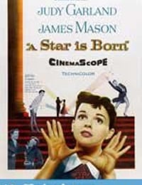 一个明星的诞生 A Star Is Born (1954)