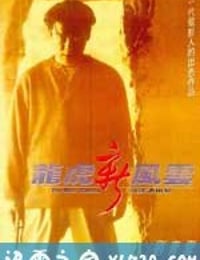 龙虎新风云 (1994)