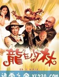 龙在少林 龍在少林 (1996)