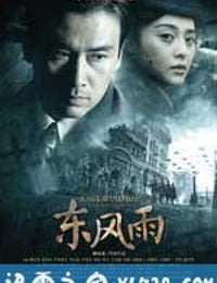 东风雨 (2010)