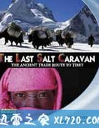 最后的盐道 The Last Salt Caravan（2009）