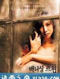 迷失诱罪 배니싱 트윈 (2000)