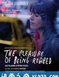 被抢劫的乐趣 The Pleasure of Being Robbed (2008)