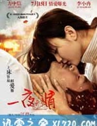 一夜未了情 (2011)