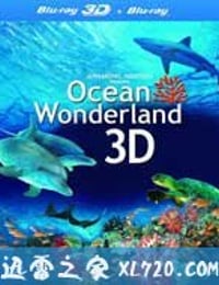 海洋仙境 Ocean Wonderland (2003)