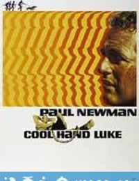 铁窗喋血 Cool Hand Luke (1967)