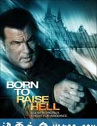 天罡星下凡 Born to Raise Hell (2010)