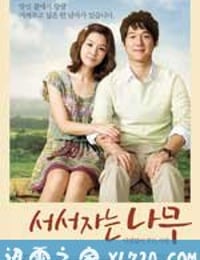 站着睡觉的树 서서 자는 나무 (2010)