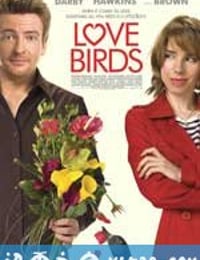 爱情鸟 Love Birds (2011)