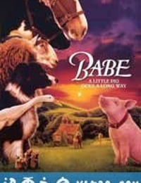 小猪宝贝 Babe (1995)