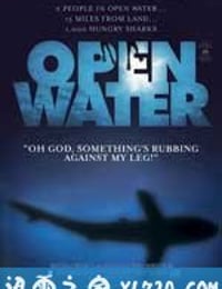 战栗汪洋 Open water (2003)