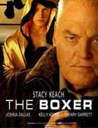 拳手 the boxer (2009)