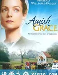 以德报怨 Amish Grace (2010)