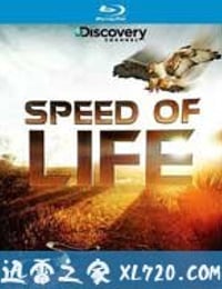 探索频道：生命的速度 Discovery Channel ：Speed of Life (2010)