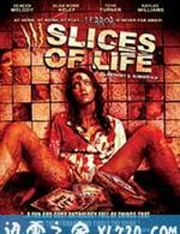 分割人生 Slices of Life (2010)