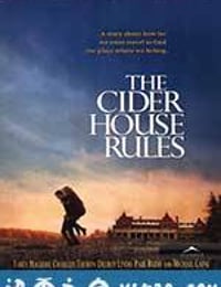 总有骄阳 The Cider House Rules (1999)