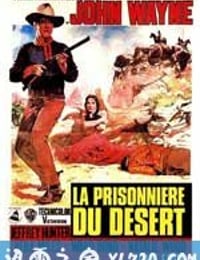 搜索者 The Searchers (1956)