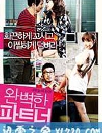 完美搭档 완벽한 파트너 (2011)