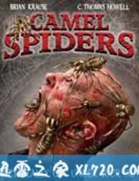 骆驼蜘蛛 Camel Spiders (2011)