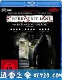 樱桃树巷 Cherry Tree Lane (2010)