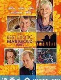 涉外大饭店 The Best Exotic Marigold Hotel (2011)