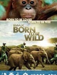 天生狂野 Born to Be Wild (2011)