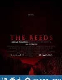 芦苇地 The Reeds (2009)