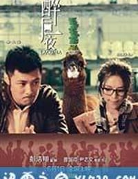 醉后一夜 (2012)