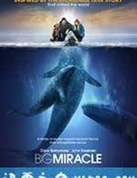 鲸奇 Big Miracle (2012)