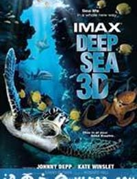 深海猎奇 Deep Sea (2006)