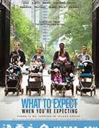 孕期完全指导 What to Expect When You're Expecting (2012)