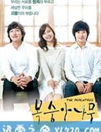 桃树 복숭아나무 (2012)