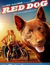 红犬历险记 Red Dog (2011)