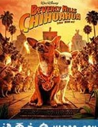 富贵吉娃娃 Beverly Hills Chihuahua (2008)