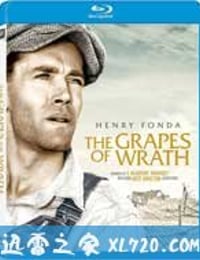 愤怒的葡萄 The Grapes of Wrath (1940)