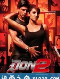 夺命煞星宝莱坞之国王归来 Don 2 (2011)