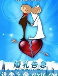 婚礼告急 (2011)