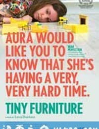 微型家具 Tiny Furniture (2010)