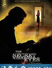 谜一样的双眼 El secreto de sus ojos (2009)